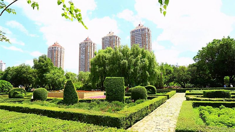 夏季新铺草坪，浇水不当等于白铺
