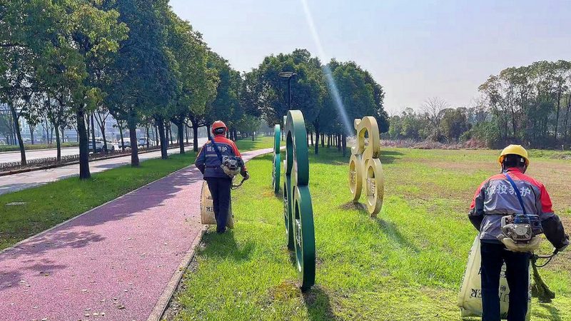 零基础也能掌握的苗木种植技术核心要点