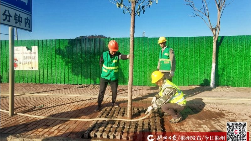 道路绿化工程验收，武汉市场有本自己的账