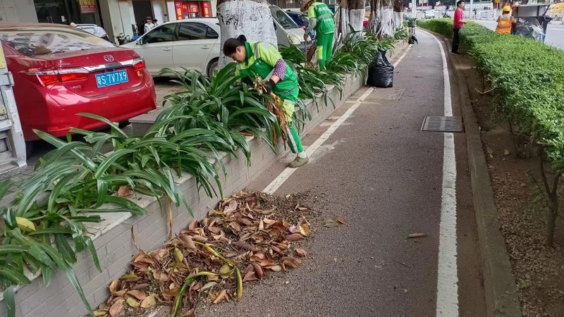 目前市场上常见的垂直绿化模块主要有以下几种类型：