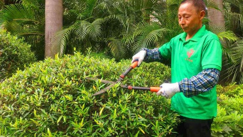 新铺草坪浇水后为何裂开大口子