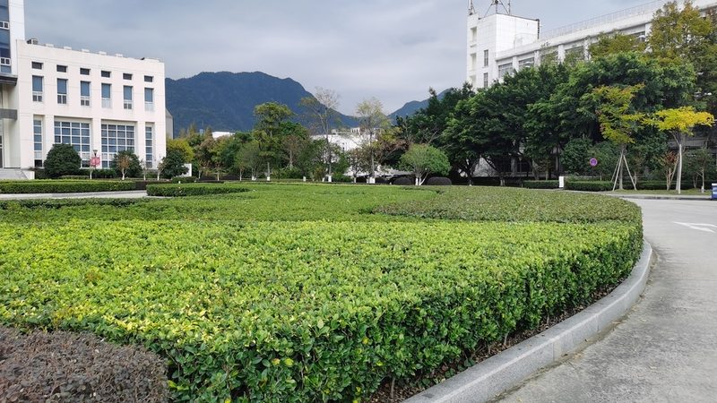河道护坡草种选择：关键因素与注意事项