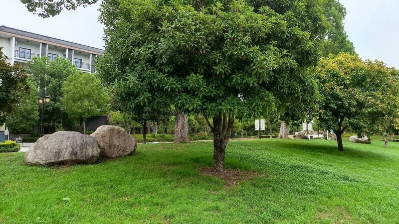 绿化资质办理：关键步骤与避坑指南**