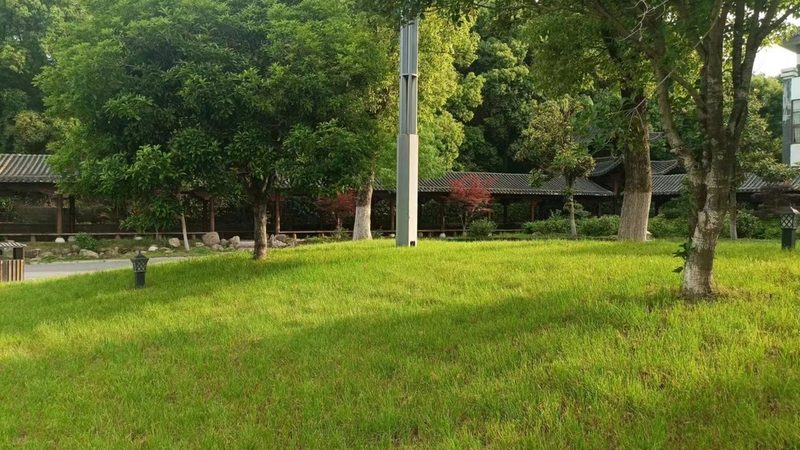 小区绿化植物搭配设计，打造宜居生态家园
