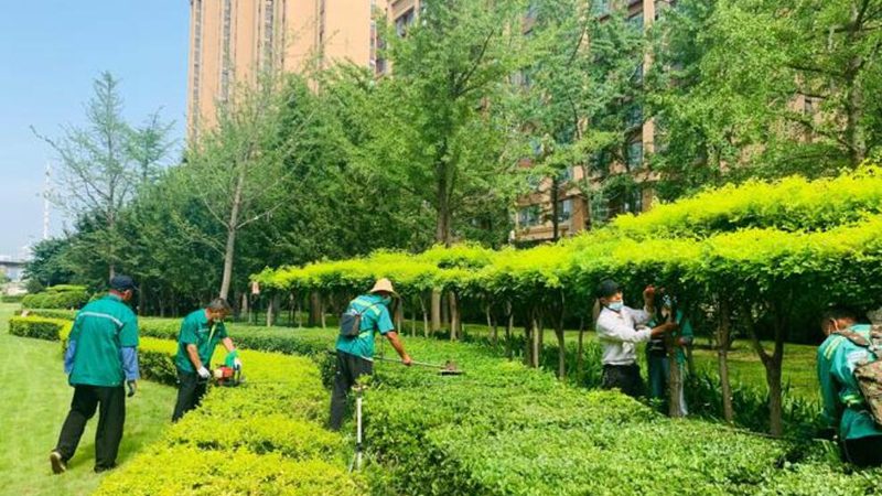 模块式绿化墙：材质选不对，效果全白费